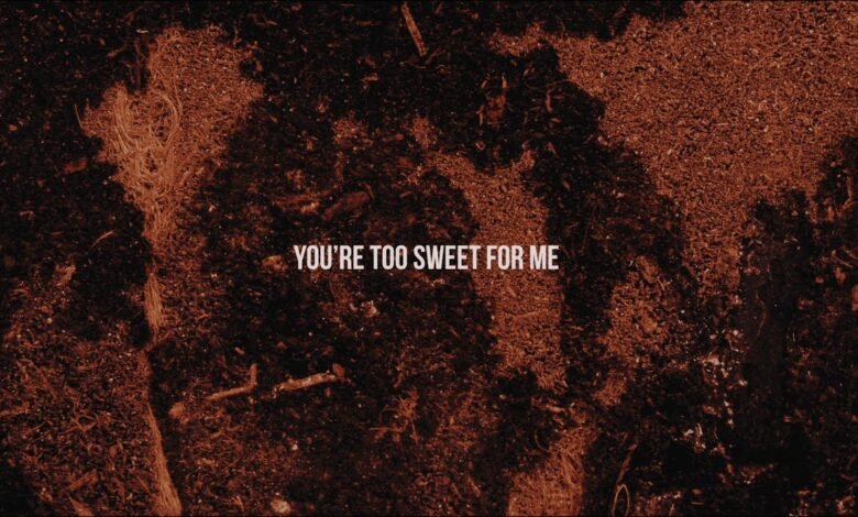 Too sweet lyrics
