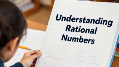 What is a rational number